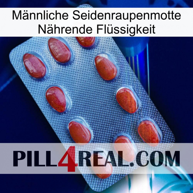 Männliche Seidenraupenmotte Nährende Flüssigkeit 06